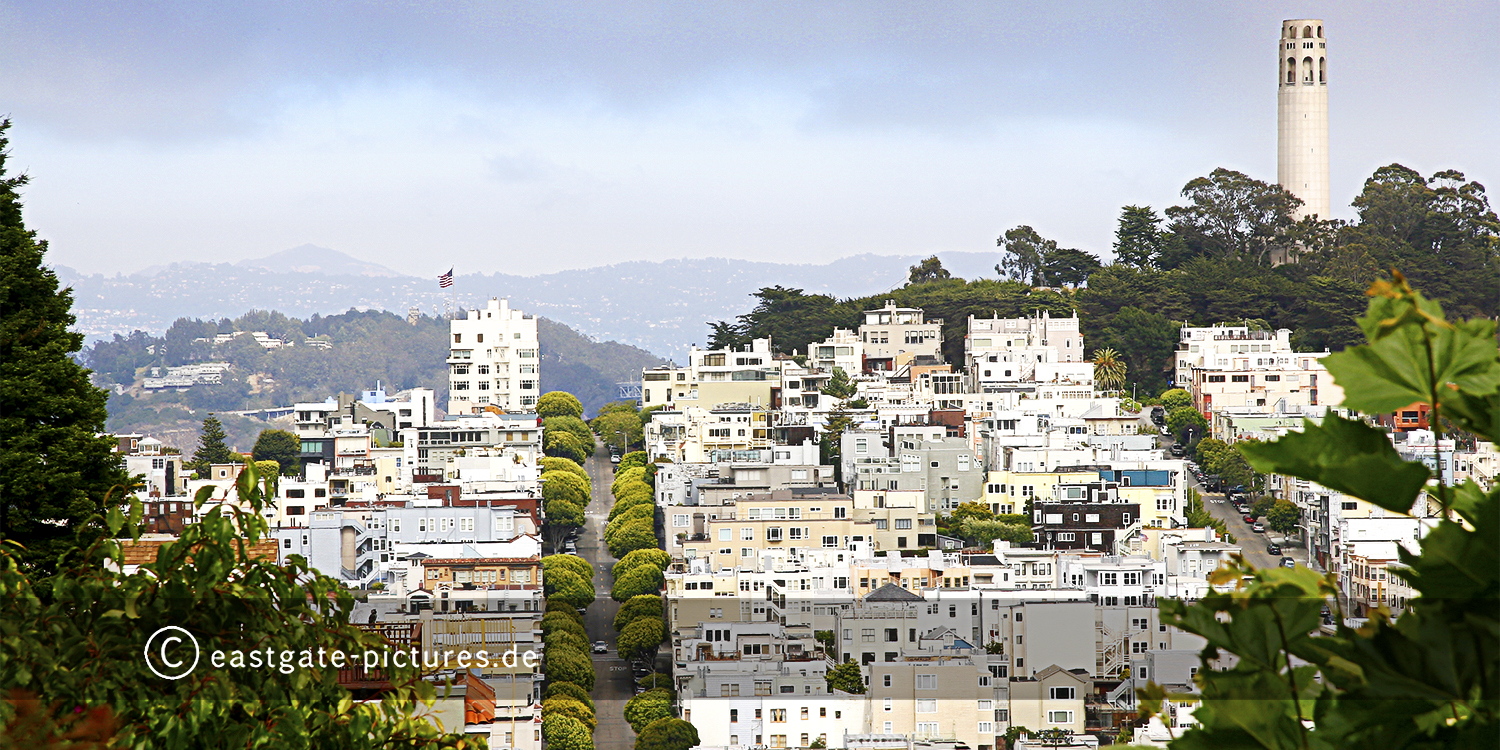 Coit Tower